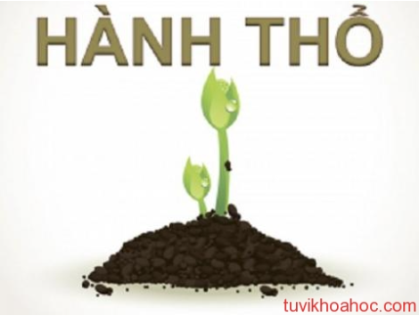 Phong thủy nhà ở cho người mệnh Thổ